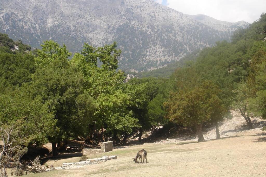 Villa Strata Kardhamiana 外观 照片